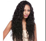 Water Wave / Kinky Curly Human Hair Wigs 100% Brazilian Wig , Hair Extension Double Wefted