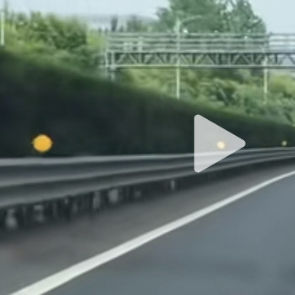 Natural Curly Human Hair Wigs with Adjustable Straps Various Lengths / Densities Full Lace Construction